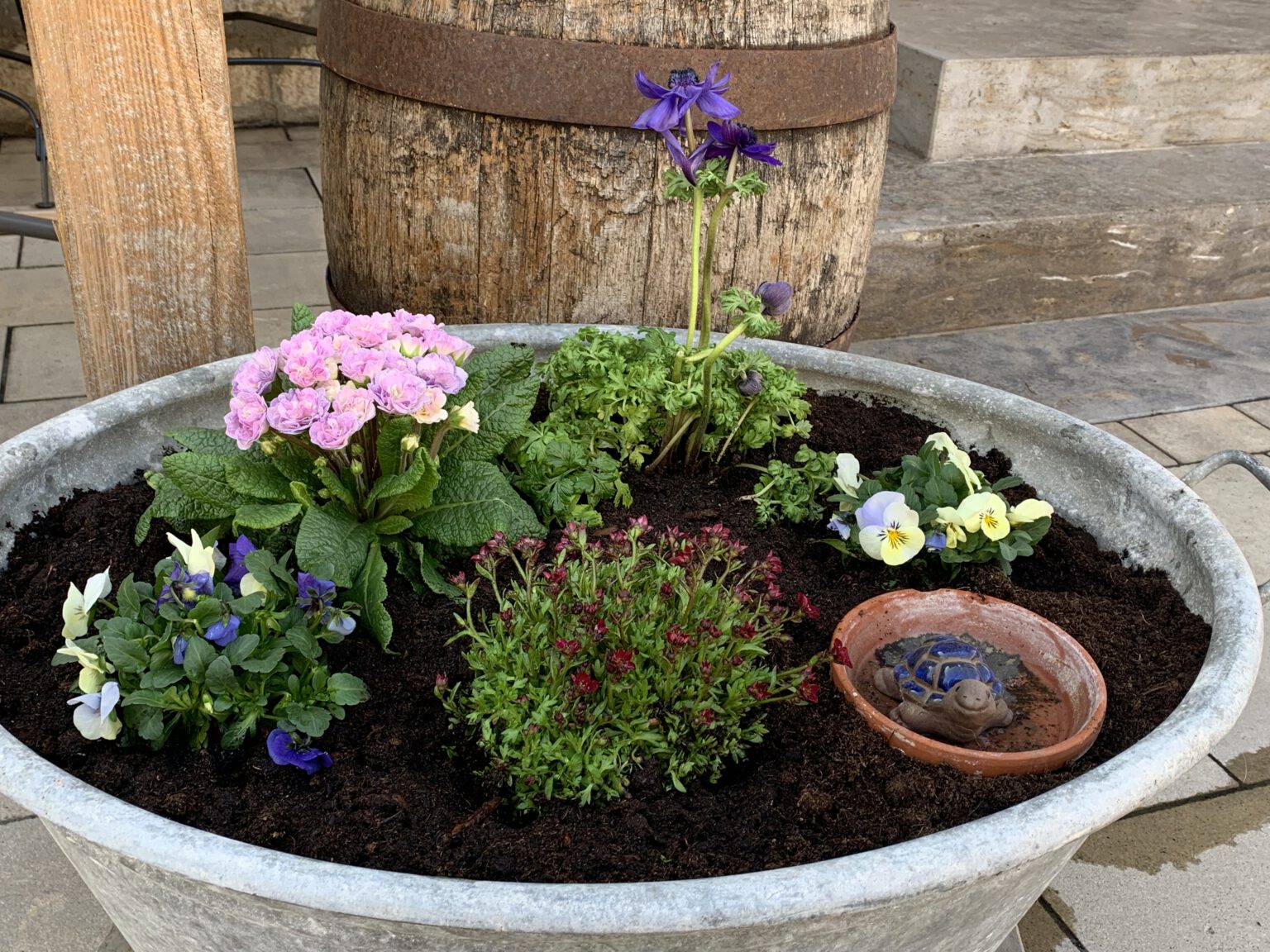 BrauereiGasthof Düll Gnodstadt